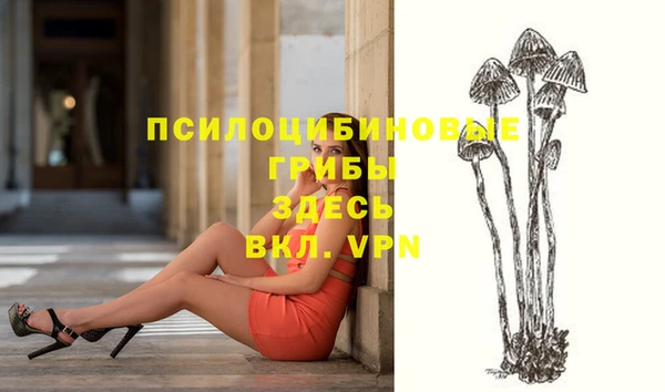 стаф Кукмор
