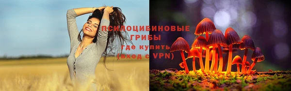 винт Куйбышев