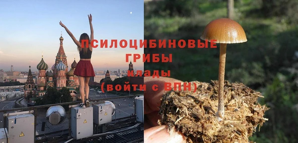 стаф Кукмор