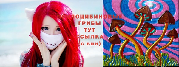 стаф Кукмор
