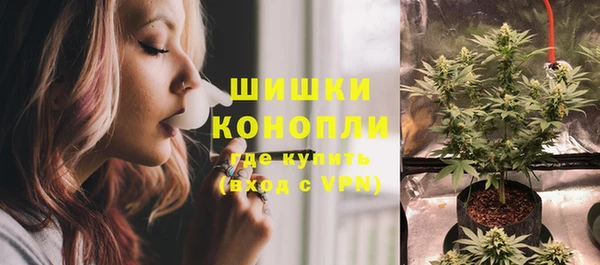 стаф Кукмор